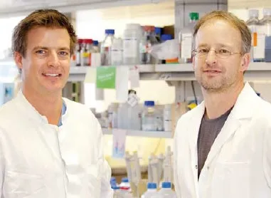 2012 grant – final report from dr. lankisch and dr. metzger, hannover medical school